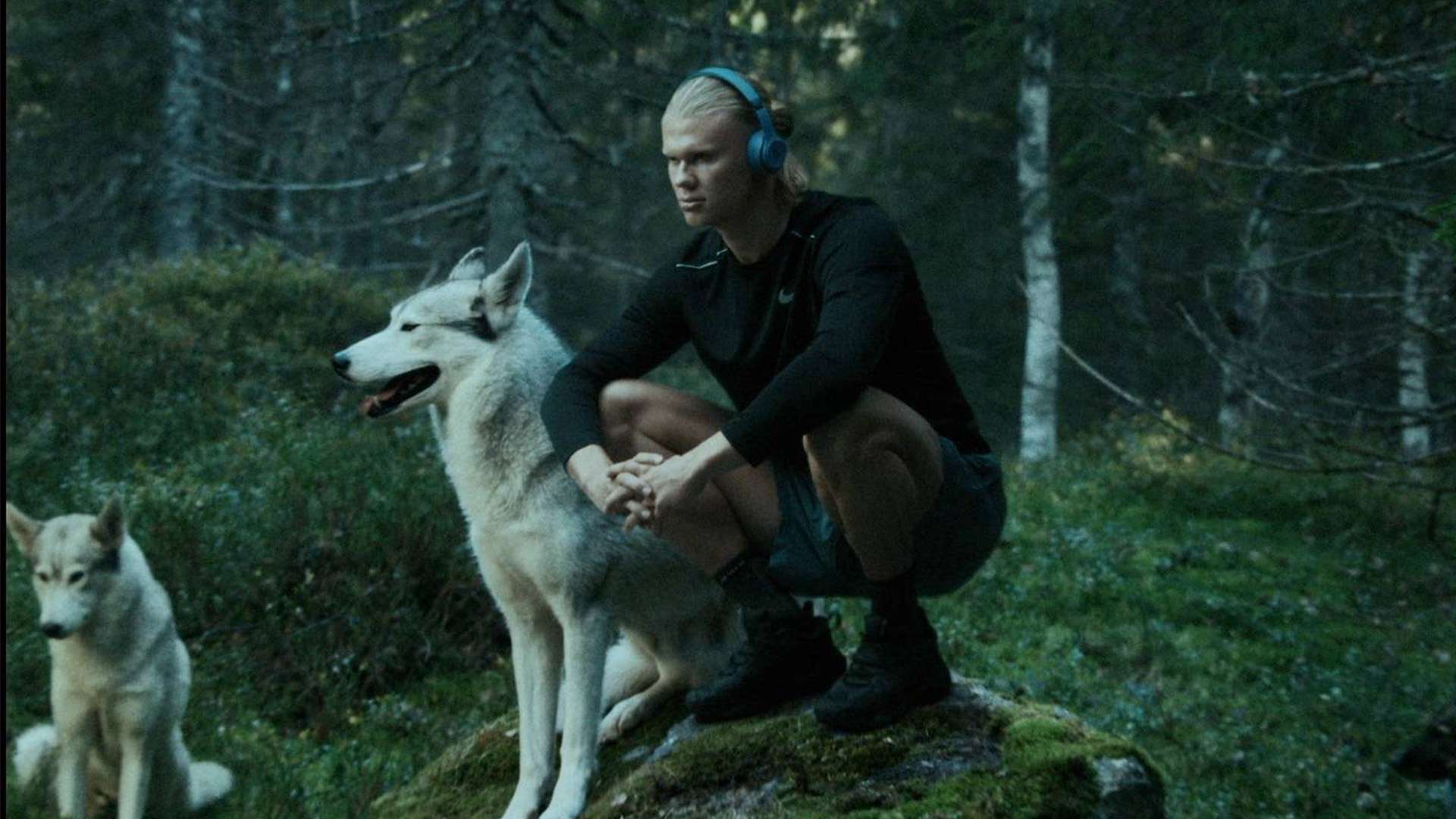 情感让他成 情感让他成